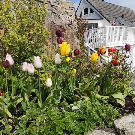 House In Norway Bomlo